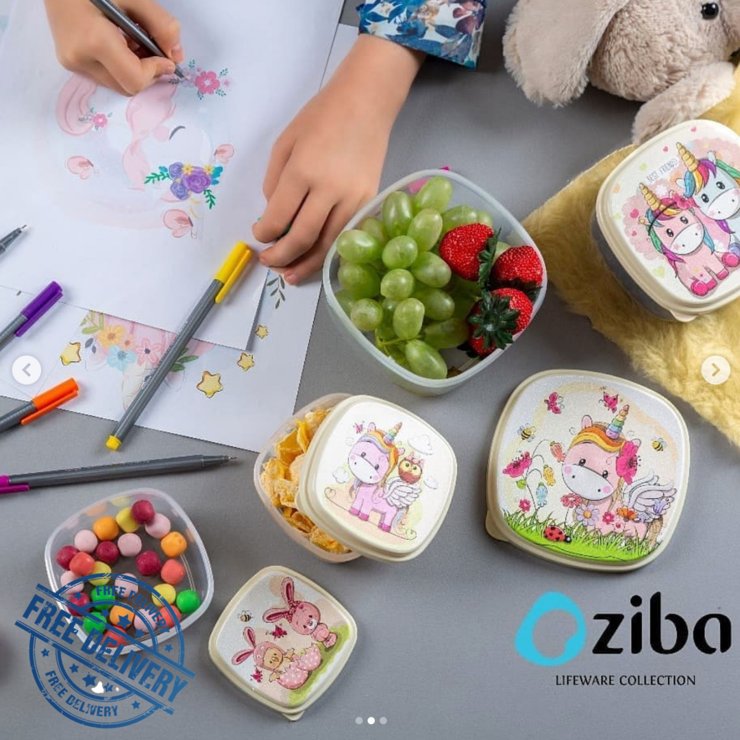 ZIBA - Snack Box Nested Food Containers 4pc-Set