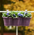ZIBA Plastic Hanging Flower Pot Balcony Planter PP (3 Set)