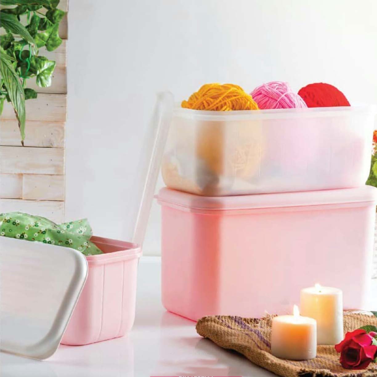 Smart container Box with lid (6 colors)