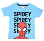 Spiderman DC®️ Character Boys T-shirt for Kids - Marvel-Comics High quality Graphic printed T-Shirt - Dealz Souq