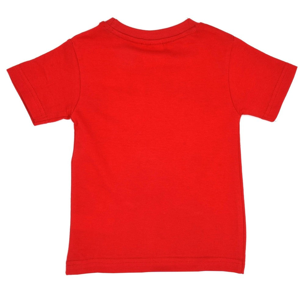 Superman DC®️ Character Boys T-shirt for Kids - Marvel-Comics High quality Graphic printed T-Shirt - Dealz Souq